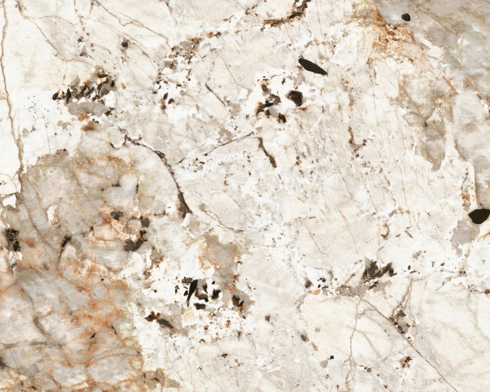 Céramique Spirit of Tasmania CER 40 pour plateau de table — COLOMBUS